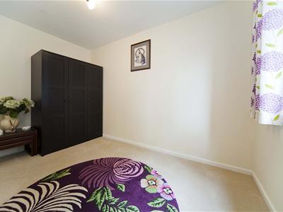 Picture 21